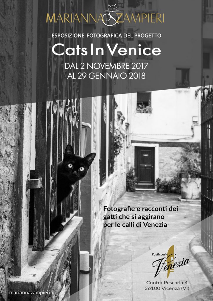 Cats in Venice la mostra