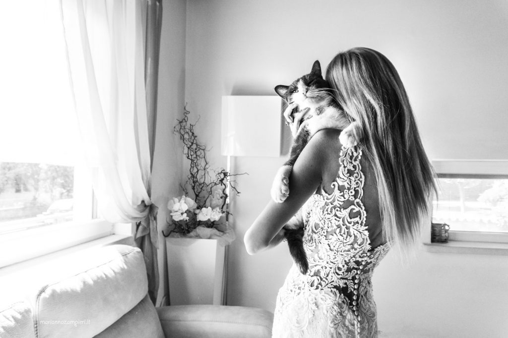 - Post wedding with cats
