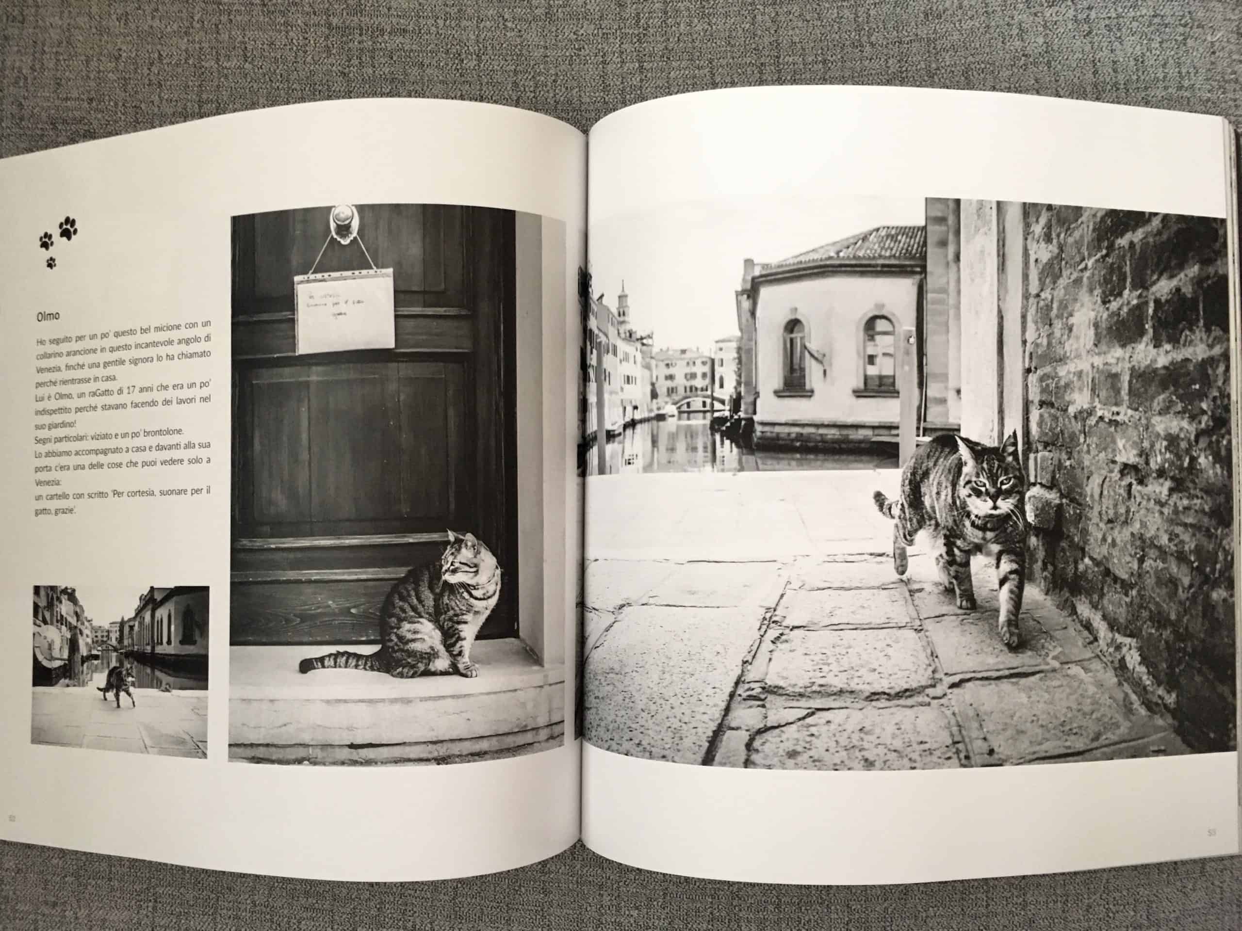 book-cats-in-venice - Cats in Venice volume 2