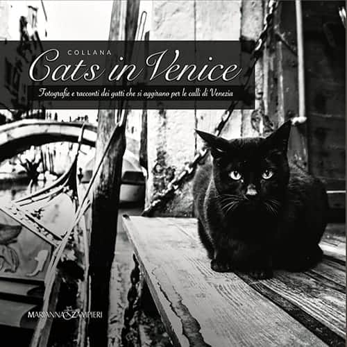 - Collana 'Cats in Venice: fotografie e racconti dei gatti che si aggirano per le calli di Venezia'