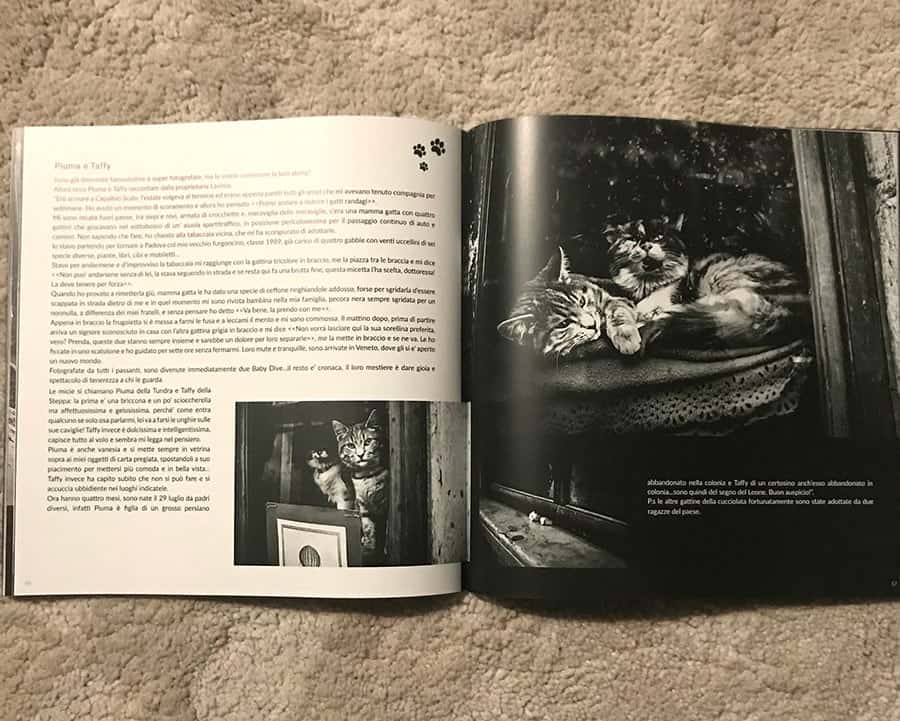 book-cats-in-venice - Cats in Venice volume 3