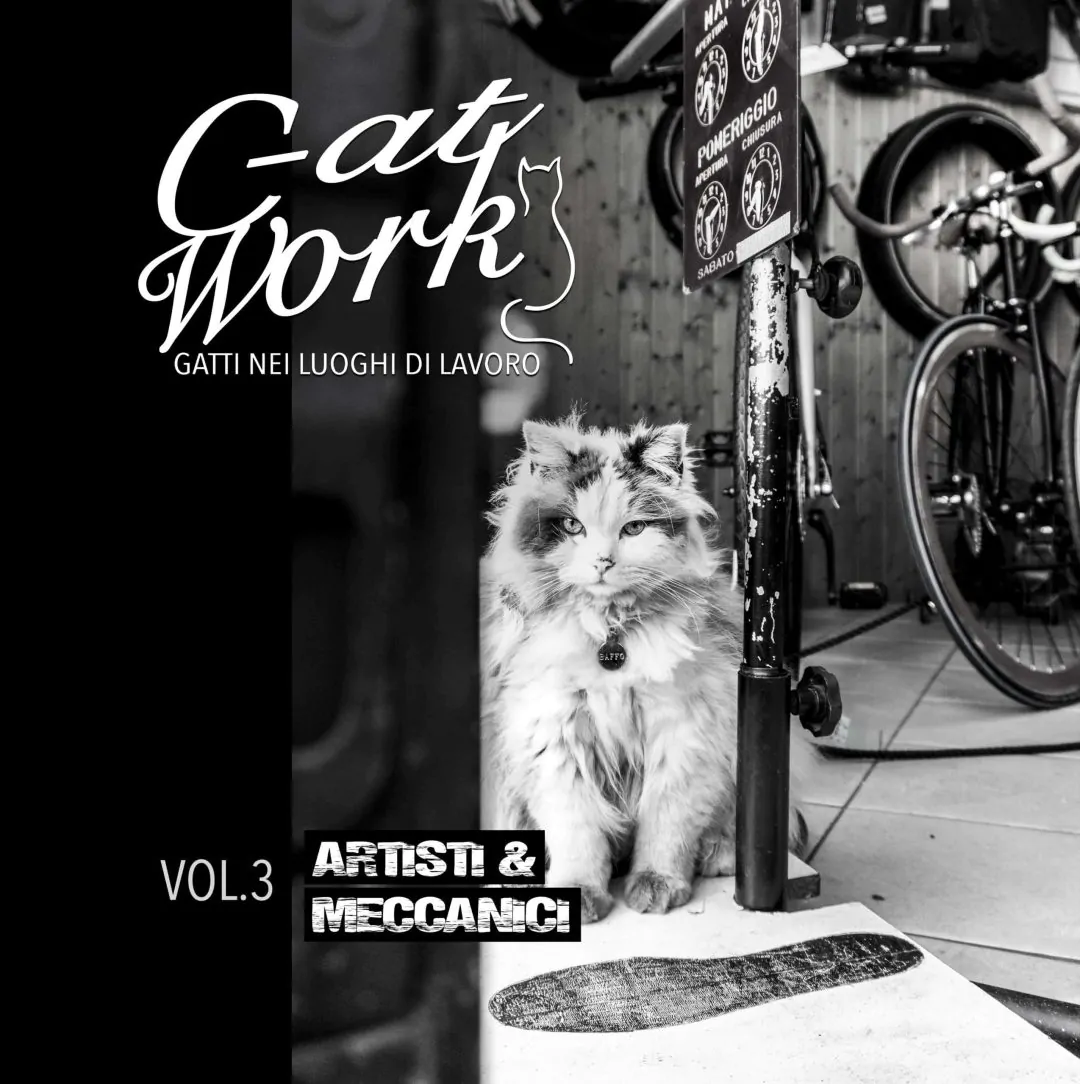 c-at-work - C-at Work - volume 3