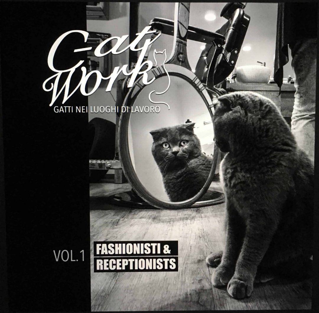 - C-AT Work Volume 1: Fashionisti e Receptionists