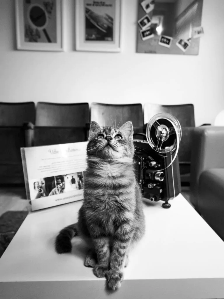 - DSC00288
